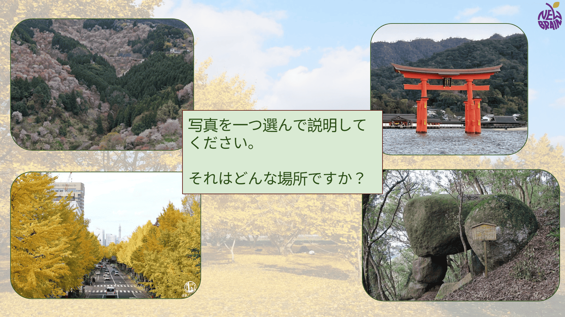 photo